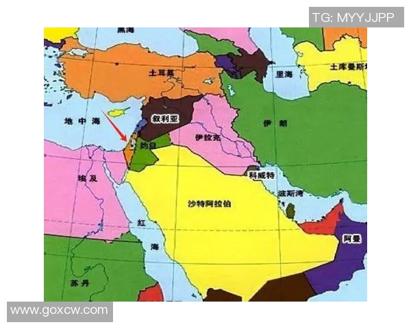 伊朗与叙利亚比赛未开盘的原因分析与影响探讨